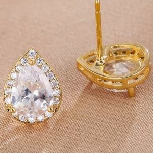 18k Gold Finish & Moissanite Earrings